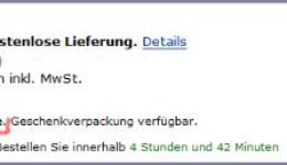 Bei Amazon auf Rechnung kaufen – So wirds gemacht!
