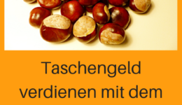 Taschengeld verdienen – Lohnt es sich Eicheln und Kastanien zu sammeln?