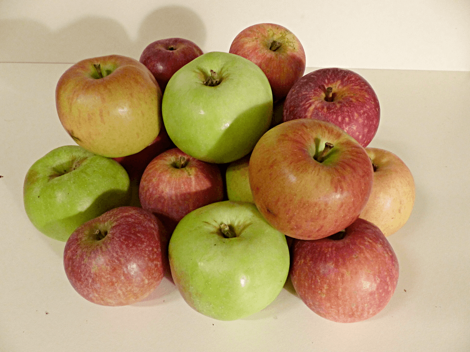 Taschengeld verdienen mit Äpfeln – So wird’s gemacht!